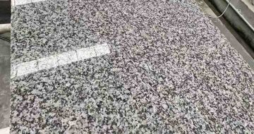 永州 芙蓉白光面