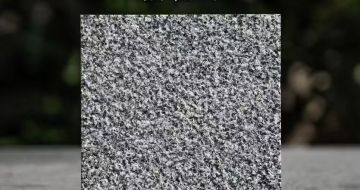 永州 芝麻黑荔枝面