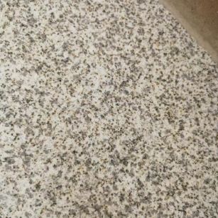 永州 黄金麻中黄光面