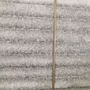 永州 芝麻白成品厚薄均匀