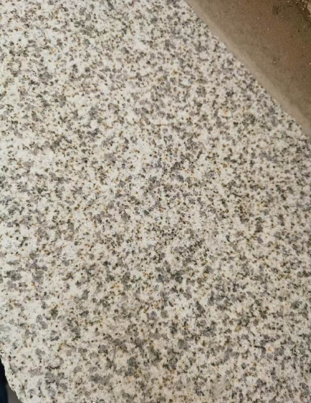 永州 黄金麻中黄光面