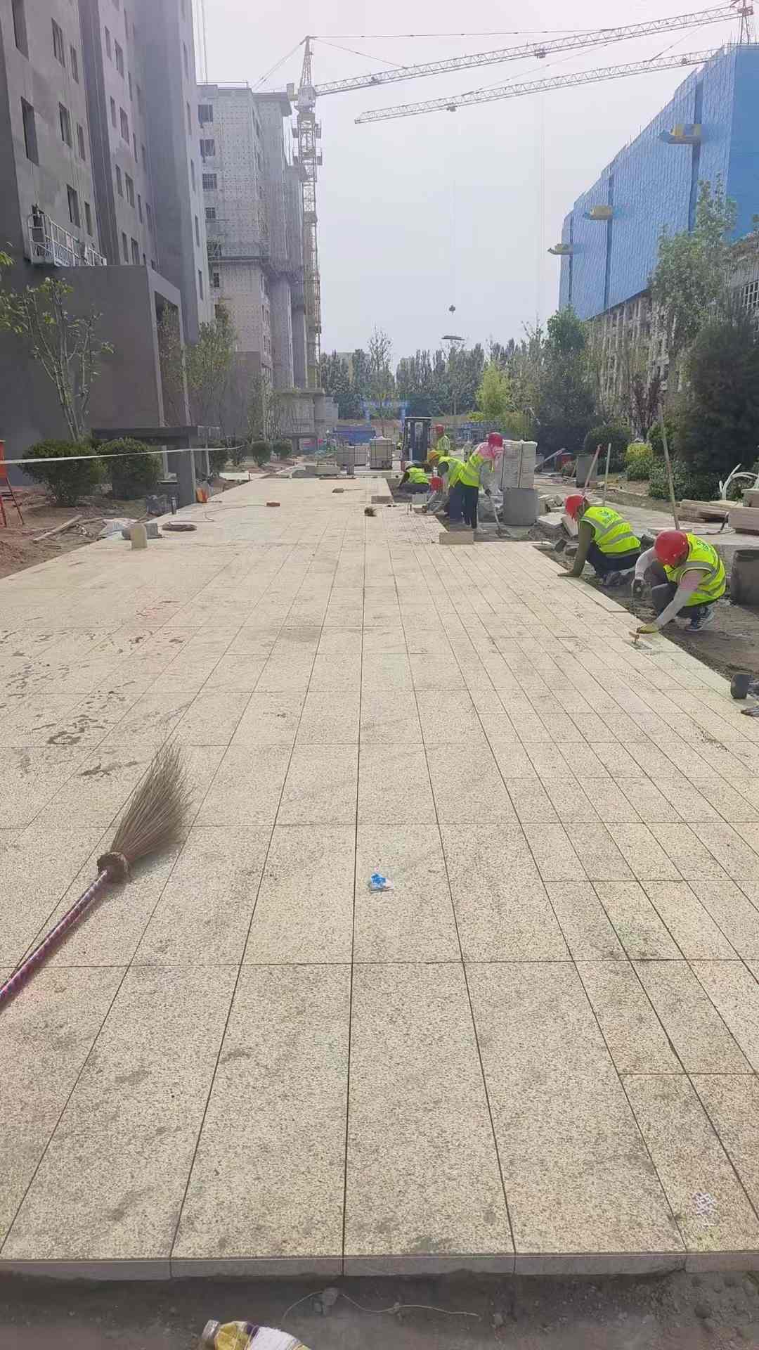 永州黄金麻荔枝面地铺案例