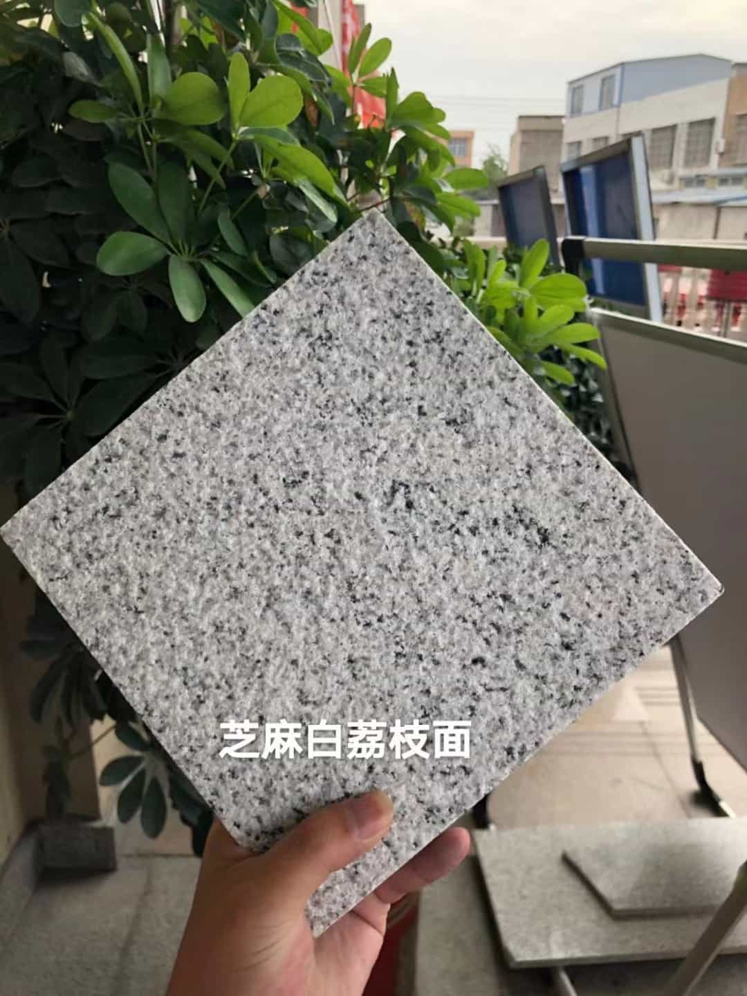 永州 芝麻白荔枝面干挂